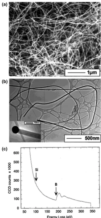 Figure 1.  amorphous boron nanowires synthesized by cvd 