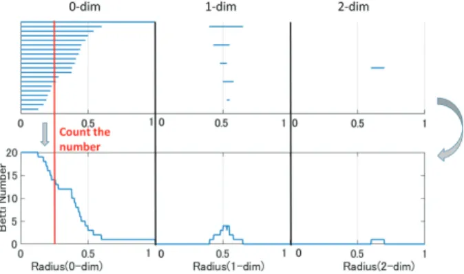 Fig. 4 (a)Persistent diagram: the horizontal and vertical axis show the birth and death radii of one-dimensional holes, respectively