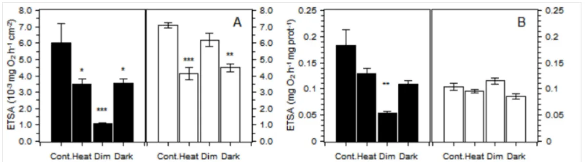 Figure 3: Mitochondrial electron transport activity (ETSA) normalized by the unit of the skeleton surface (A) and ETSA normalized by the milligrams of host protein (B) in P