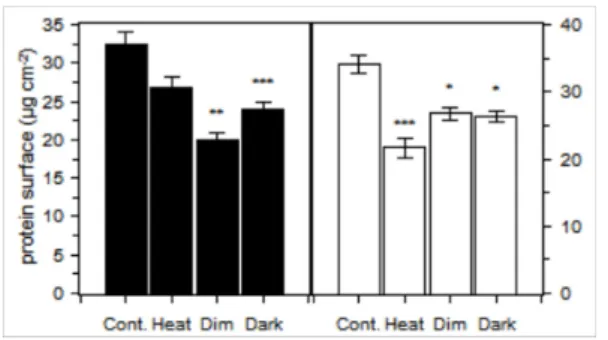 Figure 4: Amount of the host protein per unit of skeleton surface in  P. cylindrica  (black) and  G.