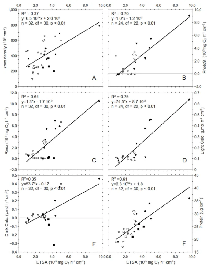 Figure 5: Correlations of ETSA with zooxanthellae density (A), photosynthesis (B), respiration (C), light calcification (D), dark calcification (E) and host protein (F)