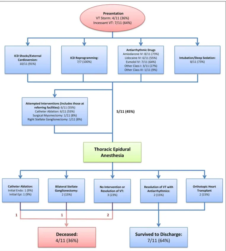 Figure 2. Management of ventricular tachycardia storm in study cohort. The ﬂow chart summarizes how patients were managed before and after initiation of thoracic epidural anesthesia in our study cohort