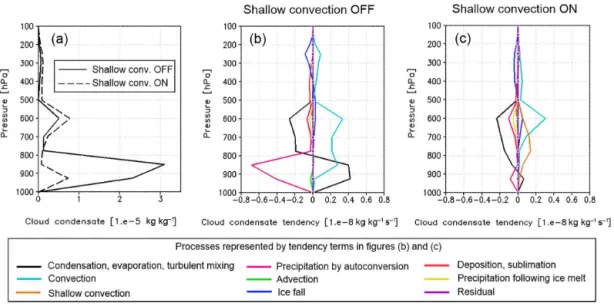 Figure 10. Vertical profile of annual mean (a) cloud condensate and (b, c) cloud condensate tendencies in the eastern tropical Pacific simu- simu-lated by the MIROC5 AGCM
