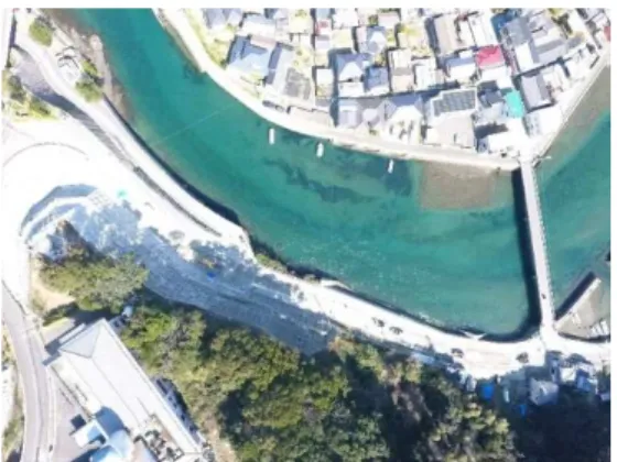 Fig. 2 Downstream area of the Kounoura River  (UAV) 