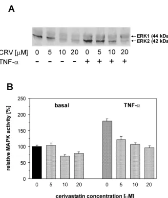Fig. 4 shows a down-regulation of ERK1 / 2, as well as the estimates of CRV-induced inhibition in resting and  TNF-a -stimulated EA.hy 926 cells by the increasing statin  con-centrations