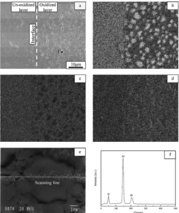 Fig. 5.  a  BSE image and X-ray dot maps for  b  Mg,  c  Al, and  d  O obtained from a polished cross section of S1 oxidized at 1200  C.