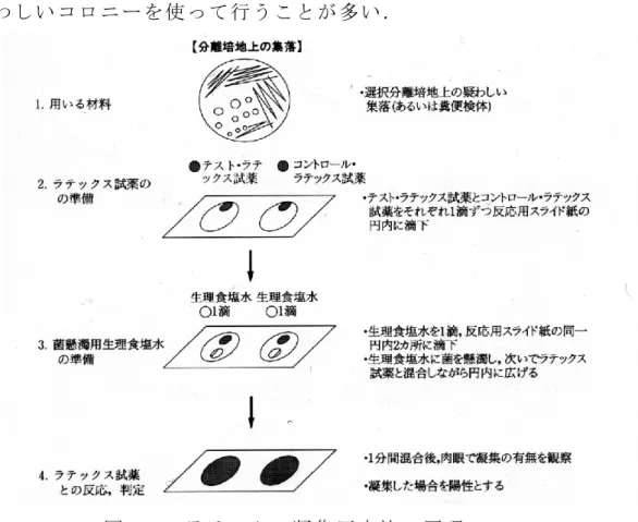 図 2-2 ラ テ ッ ク ス 凝 集 反 応 法 の 原 理