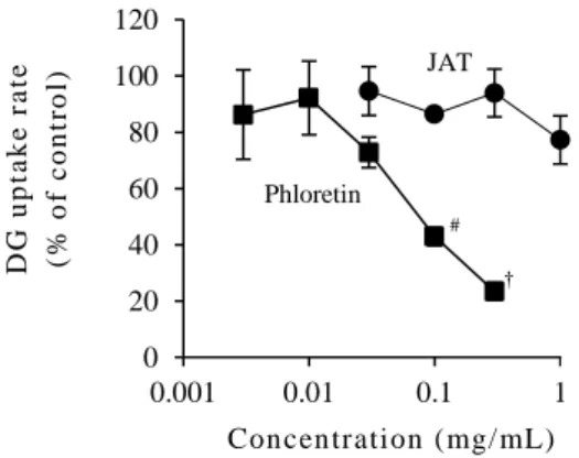 Fig. 4    Effects of JAT  and phloretin on DG uptake in Caco -2 cell monolayers  