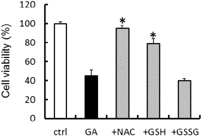 Fig. 24 GA に よ る 細 胞 傷 害 に 対 す る NAC の 影 響