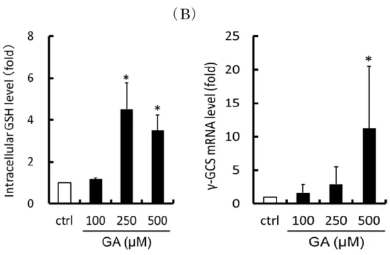 Fig. 26   細 胞 内 GSH 量 お よ び γ-GCS に 対 す る GA の 影 響