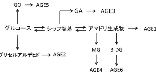 Fig. 3   糖 化 反 応 経 路