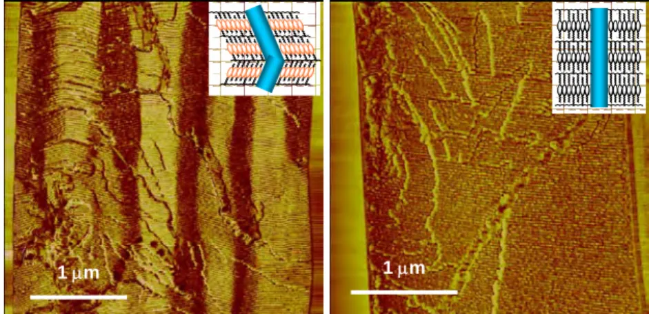 図 1f.4. PEO 114 - b-PMA(X) n 薄膜の劈開面の AFM 像（位相像） 