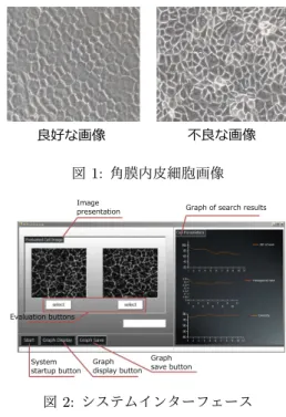 図 2: システムインターフェース 述べる． 2. 構築システム概要 本研究で構築したシステムは，ユーザが良好と判断する細 胞画像を提示することを目的としている．本研究で構築したシ ステムのインターフェースを図 2 に示す．  システムの流れとしては，まず専門家が提示された 2 枚の 画像を見て，良好と判断した画像の下にある選択ボタンをク リックし，次に比較する画像を提示させる．この操作を繰り返 し行うことで，専門家が良好と判断する画像を生成していく． 本システムの最終的な結果は，専門家がこれ以上優劣をつけ