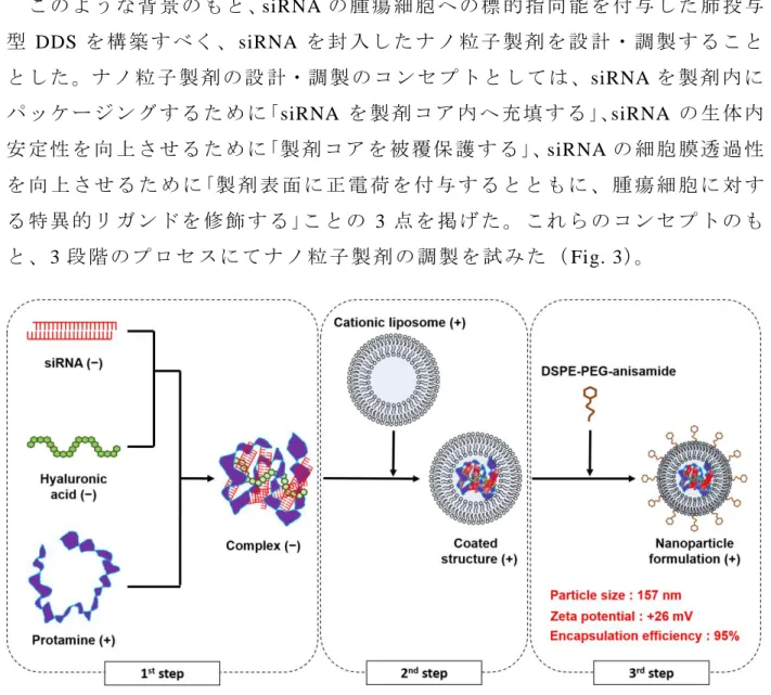 Fig. 3 Preparation of nanoparticle formulation 