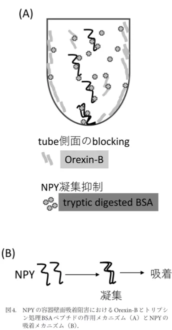 図 4. NPY の容器壁面吸着阻害における Orexin-B とトリプシ