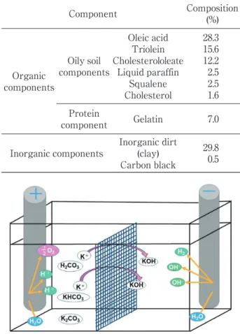 Fig. 1 Electrolytic principle of SAEW.