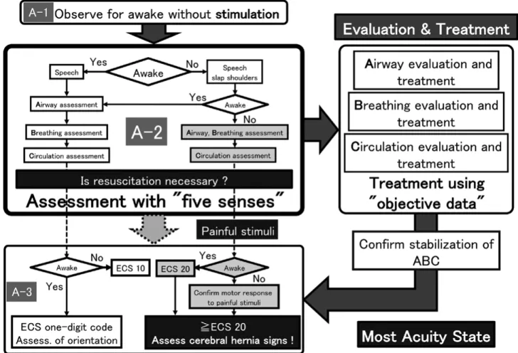 Fig. 2　Flow chart of stroke patient assessment and treatment based on the two-stage acuity judgment