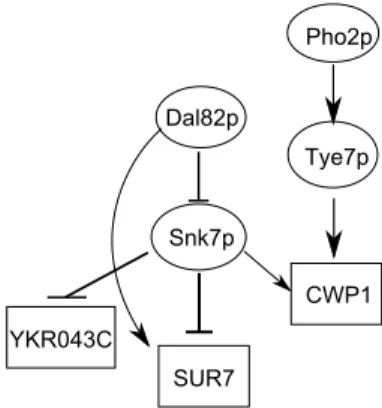 図 2 で は 遺 伝 子 Gene1, Gene3 に 活 性 化 , 遺 伝 子 Gene2 に 阻 害 の 制 御 を 行って い る 転 写 因 子 n k に つ い て , x k = up としたときの遺伝子発現変化を示す 