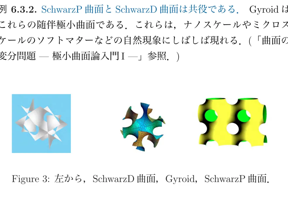 Figure 3: 左から， SchwarzD 曲面， Gyroid ， SchwarzP 曲面．