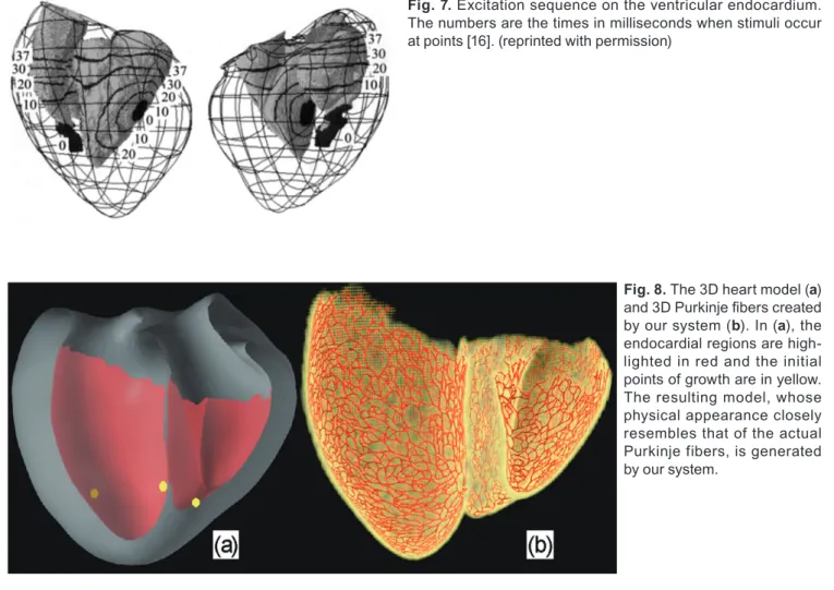 Figure 6b shows a simple example: a new branch is grow- grow-ing from bottom to top in a gradient fi  eld that slants from  left to right