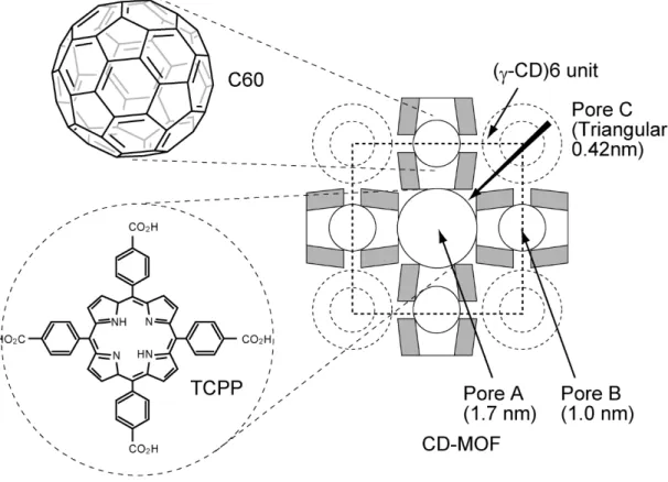 Fig. 3-1 CD-MOF の細孔構造 