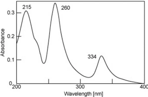 Fig. 3-7  水中の C60/γ-CD 錯体の紫外可視吸収スペクトル 