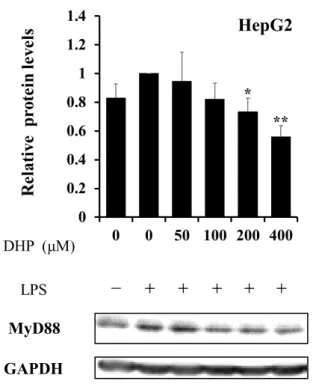 Fig. 8. Effect of DHP-3 on protein expression of MyD88 in LPS-stimulated HepG2 cells. 