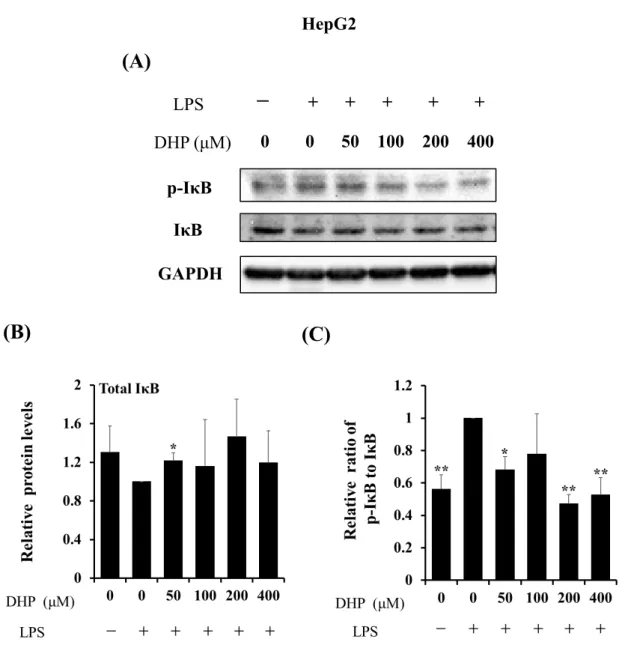 Fig. 9. Effect of DHP-3 on activation of IκB in LPS-stimulated HepG2 cells. After 1 μg/mL  LPS-stimulation for 6 hr, the HepG2 cells were exposed to various concentrations of    DHP-3 (50, 100, 200, 400 µM) for 1 hr