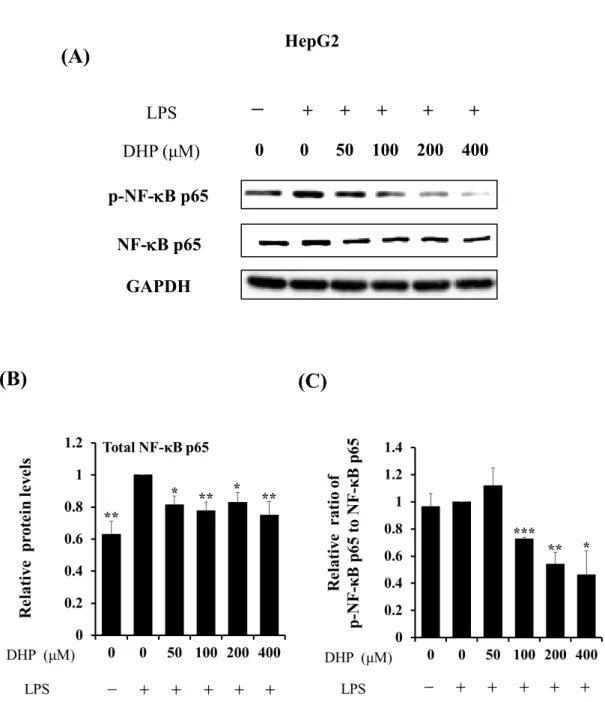 Fig. 11. Effect of DHP-3 on activation of NF-κB in LPS-stimulated HepG2 cells. After    1 μg/mL LPS-stimulation for 6 hr, the HepG2 cells were exposed to various concentrations  of DHP-3 (50, 100, 200, 400 µM) for 1 hr