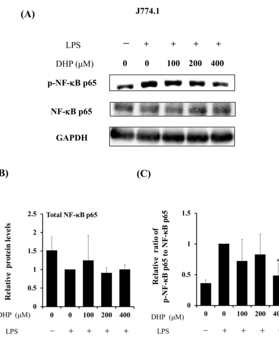 Fig. 12. Effect of DHP-3 on activation of the NF-κB in LPS-stimulated J774.1 cells. After  1 μg/mL LPS-stimulation for 6 hr, the J774.1 cells were exposed to various concentrations  of DHP-3 (100, 200, 400 µM) for 1 hr