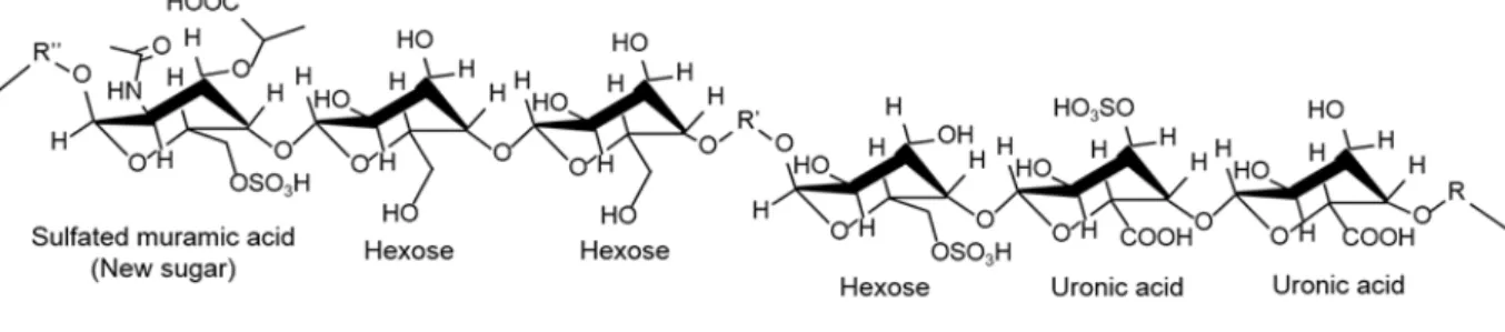 Fig. 2 Structure of sacran 3-4) . 