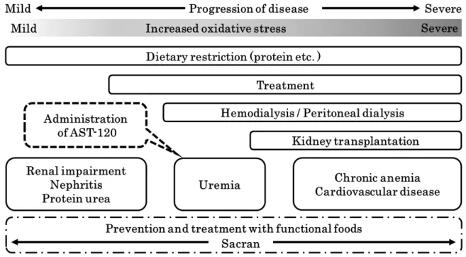 Fig. 8 Strategy to control renal failure progression. 