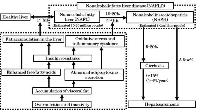 Fig. 9 The pathogenesis of NAFLD and NASH and the "Two-hit theory”  54-57) . 