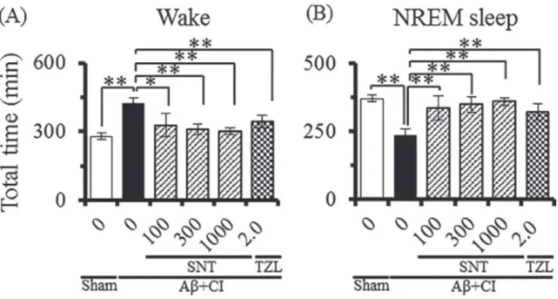 Fig. 4    Effect of sansoninto on total wake and NREM sleep time during 12 h light phase in A β + CI rats.