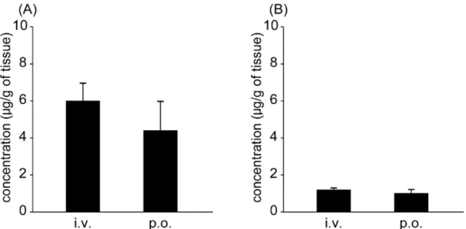 Fig. 7. The tissue distribution to (A) liver and (B) kidney of CdI at 9 hr after intravenous  injection (i.v.) and oral administration (p.o.) at a dose of 1 mg/kg in rats
