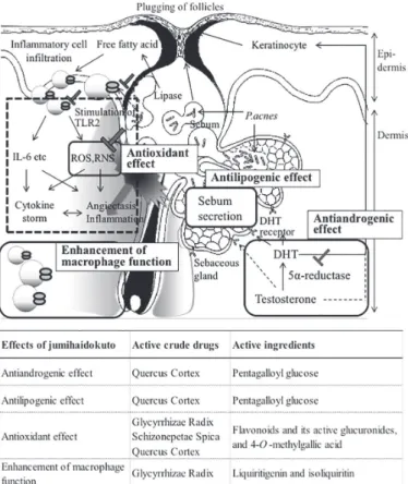 Fig. 8   Pharmacological mechanisms and their active ingredients 