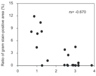 Fig. 3  Correlation between ratio of macrophage-positive area and gram stain-positive area  （N=22）.