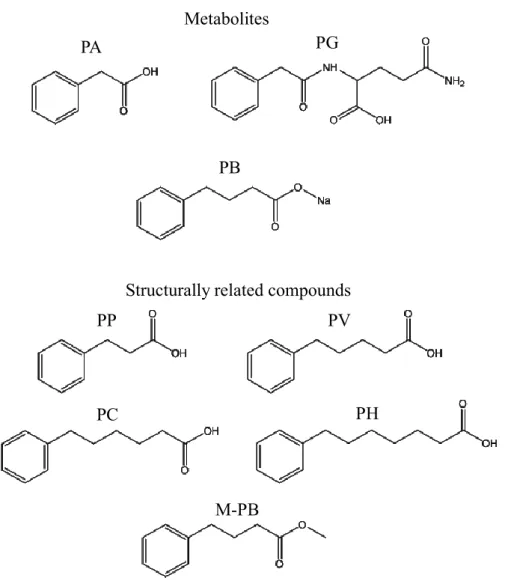 Fig.  4.  Chemical  structures  of  PB,  its  metabolites  (PA  and  PG)  and  structurally related compounds (PP, PV, PC, PH and M-PB).