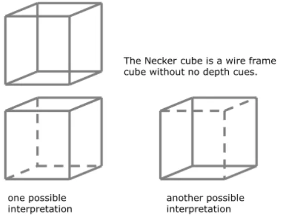 Figure 1.    The ambiguity of the Necker cube 