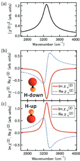 Figure 4. Examples of (a)  χ ( ) 2 2 , and (b,c) Reχ ( ) 2  and Imχ ( ) 2  spectra  of O-H stretching band of water molecules with (b) H-up and (c)  H-down configuration simulated with single Lorentzian function with  parameters of  ω q  = 3,280 cm −1  and