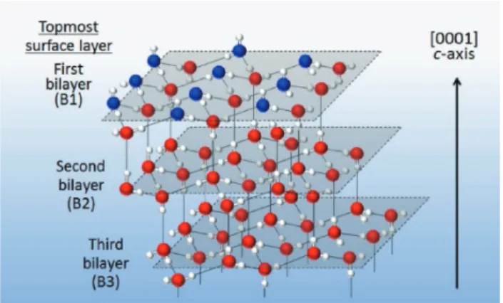 Figure 11. Schematic illustration of an ideal full-bilayer termination  structure of crystalline ice-Ih (0001) with one of the many possible  random orientational alignments of water molecules under the ice  rules 6,7 