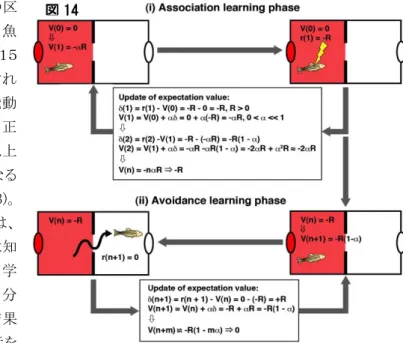 図 14 に示す様に、この学習の始めは、 赤ランプが何を予言しているのか魚は知 らないので、報酬期待値は０である。学 習の初期には、試行期間中に魚は自分 がいる区画にとどまり続ける。その結果 電気ショックを受ける。このような試行を 繰り返している間は、報酬期待値は負の方向に変化し続けると考えられる。しかし、偶然反対の区画に 泳ぎ出して、ショックを受けないことを体験すると、これまではショックを受けるだろうという負の報酬期待 値を持っていたのに、何もショック（罰）を受けないということから、正の報酬予測誤差が生じ