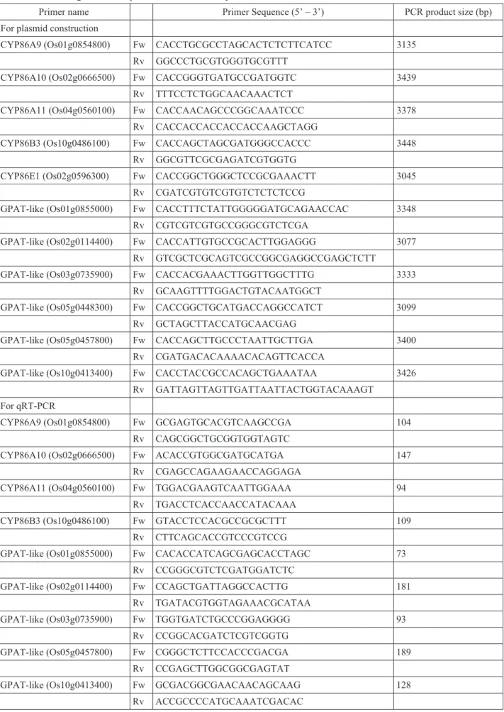 Table S1. List of oligonucleotide primers used in this study