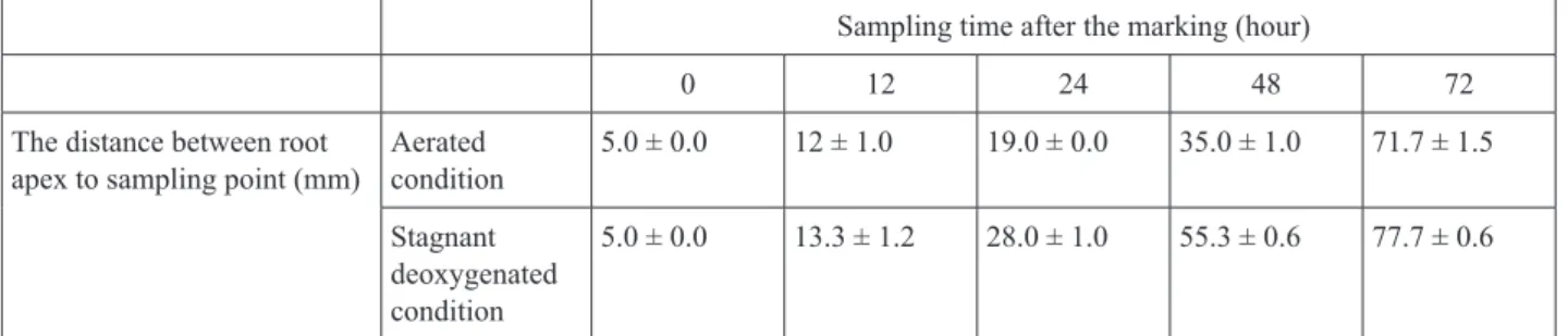 Table S2. The sampling positions for temporal gene expression analysis of candidate genes 