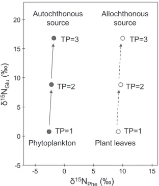 Fig. 1. Schematic illustrations of the trophic position (TP) of  autochthonous and allochthonous source based on δ 15 N  values of Phe and Glu.