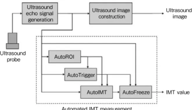 Fig. 4   Correspondence between arteries of different thickness and  reference pattern細い血管Thin artery 太い血管 Thick artery 血管内腔に対応  Corresponding to artery lumen血管壁Artery wall深さ方向Depth direction不使用部分 Non-used part血管壁に対応Corresponding to artery wall参照パターンRefere