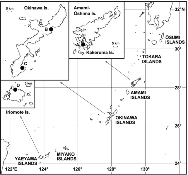 Fig.  1.  Map showing collecting sites of examined specimens in the Ryukyu Archipelago.