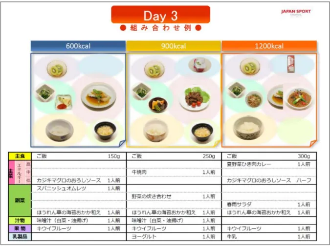 図 6. エネルギー別組み合わせ例（リオデジャネイロオリンピックの例） 