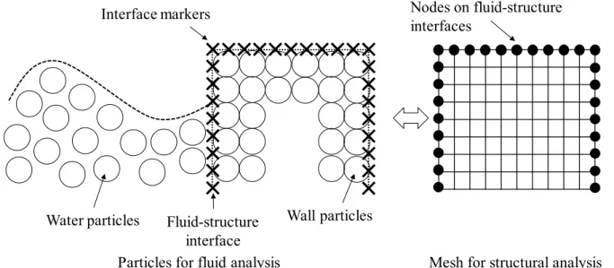 Fig. 1    The configuration of ISPH-FEM model. Interface markers for the ISPH method are located at  the same position as nodes on surface mesh for the FEM