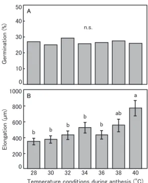 Fig. 5.   Effects of daytime temperatures during anthesis on  pollen germination percentage (A) and pollen-tube  elongation (B) of ‘Summer Queen’ passion fruit